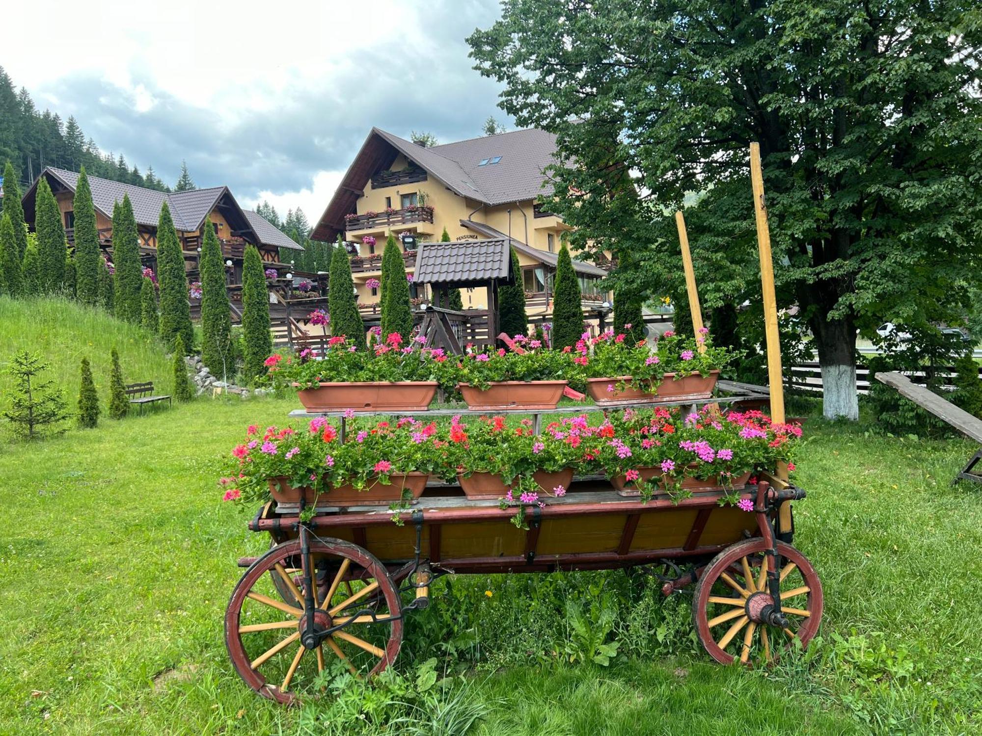 Pensiunea Vranis Sadova  Buitenkant foto